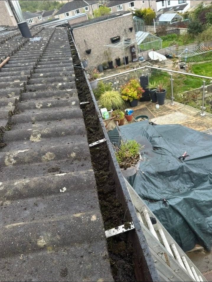 A roof gutter packed with moss, leaves and silt, before cleaning